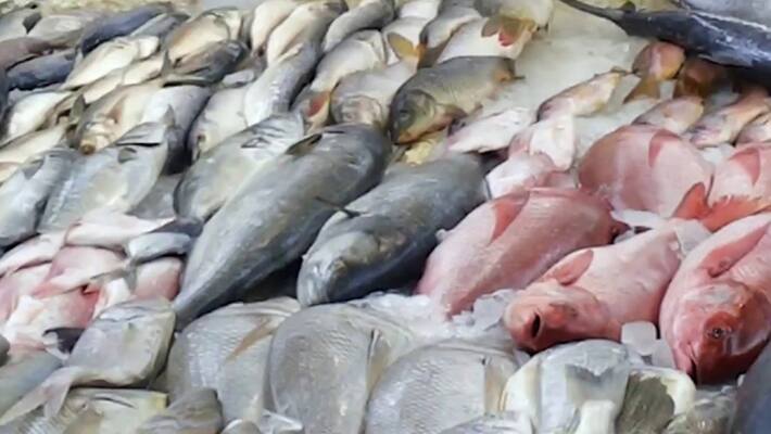 Health department inspection operation sagar rani in perinthalmanna poopalam fish market Health department inspection operation sagar rani in perinthalmanna poopalam fish market