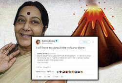 Sushma Swaraj Twitter humour savage Volcano Bali travel