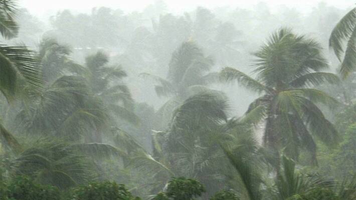 continues rain for three days in Nilgiri people and farmers happy continues rain for three days in Nilgiri people and farmers happy