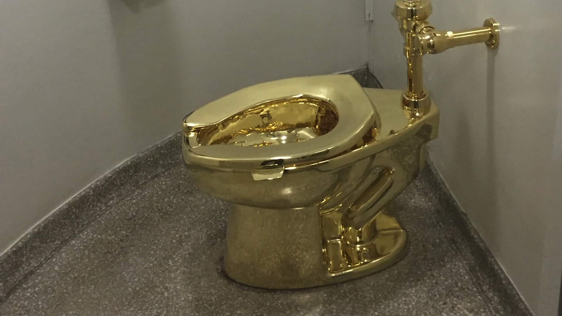 Vijay malliaya in london a luxury life with golden toilet