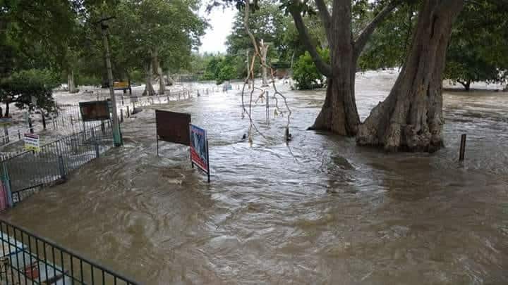 flood in kerala  and  in tamil nadu too
