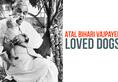 Atal Bihari Vajpayee loved dogs (video)