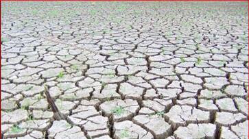 Imd claims weak pre monsoon rainfall suggest draught like situation in maharashtra
