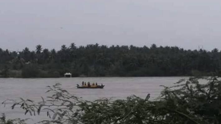 Cows without food in the middle of the Cauvery River .. After 3 days recovery!