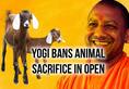 Bakrid 2018 Yogi Adityanath animal sacrifice Uttar Pradesh Sidharth Nath Singh