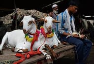 This Eid, no animal sacrifice in open in Uttar Pradesh