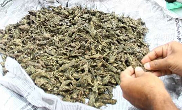 Marijuana use and its effects on your mind and body