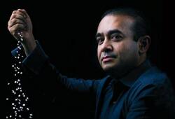 nirav modi pnb scam enforcement directorate 637 cr worth of assets attaches