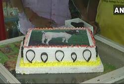 Bakrid Yogi Adityanath Lucknow goat cake Qurbani animal sacrifice