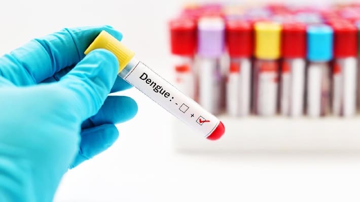 dengue fever causes and prevention