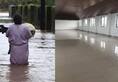 Kerala floods Rita Gopinath Parayil relief material rescue work viral photo Kongorpilly Government Higher Secondary School Idukki
