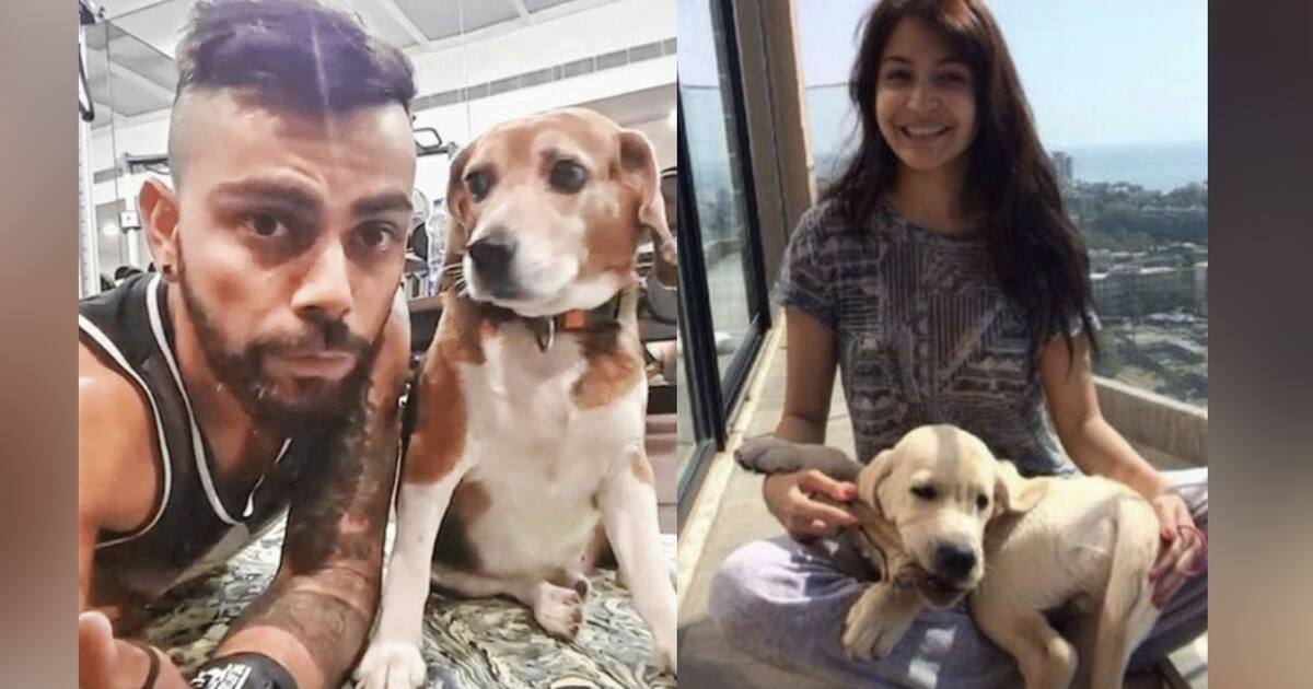 Kerala floods: Anushka Sharma, Virat Kohli send relief materials for animals Kerala floods: Anushka Sharma, Virat Kohli send relief materials for animals