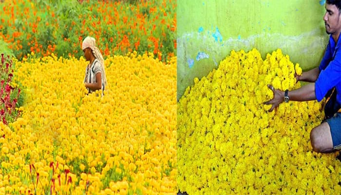 crisis faced by thovalai flower farmers in onam season due to floods in Kerala