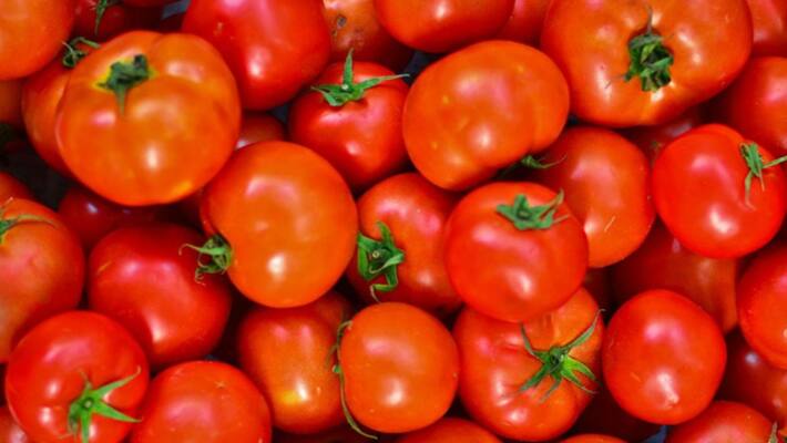 Price of tomatoes decrease Price of tomatoes decrease