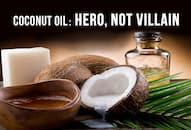Harvard university coconut oil poison benefits tattva Karen Michels Arvind Varchaswi