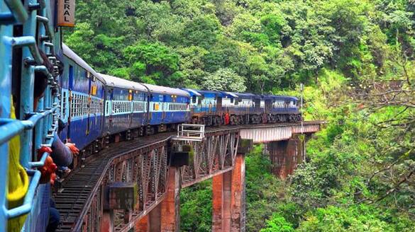 forest elephants entered railway track in nilgiris