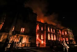 Brazil national museum destroyed fire Rio de Janeiro art culture history