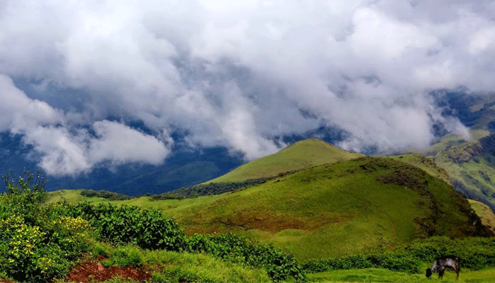 Western Ghats Forest Ministry Bans Construction Mining In Western Ghats Western Ghats Forest Ministry Bans Construction Mining In Western Ghats