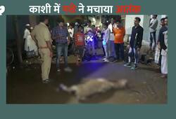 Crazy asshole blows in Varanasi, injures many people, injures