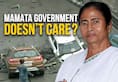 Kolkata flyover collapse Mamata banerjee Majerhat bridge TMC