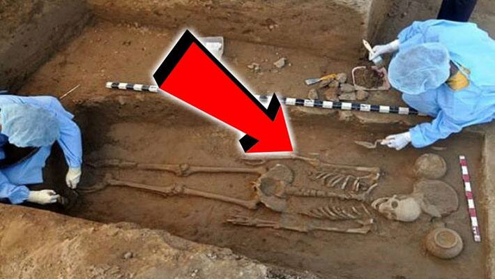 4500-year-old DNA from Rakhigarhi reveals evidence