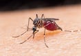India records a 24% decline in Malaria cases in 2017 WHO report