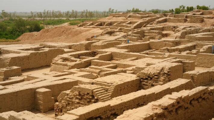 Indus valley civilization had dairy production says kalyan sekhar chakraborty bsm Indus valley civilization had dairy production says kalyan sekhar chakraborty bsm