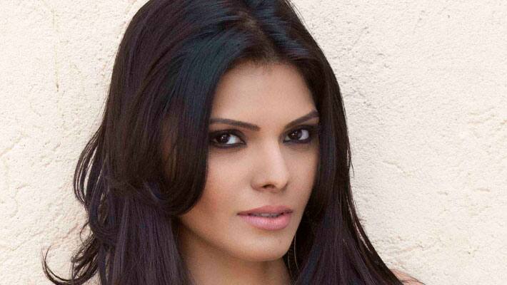 Sherlyn Chopra hot comments on her photo shoots Sherlyn Chopra hot comments on her photo shoots