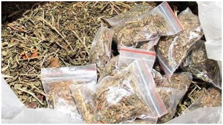 813 bank accountsfrozen in 494 cannabis cases in 10 districts