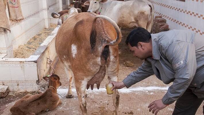 uttar pradesh bjp mla controversial comments on coronavirus - bsb uttar pradesh bjp mla controversial comments on coronavirus - bsb