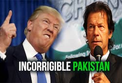 Pakistan China United States India aid grant Donald Trump