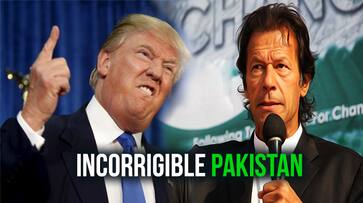 Pakistan China United States India aid grant Donald Trump