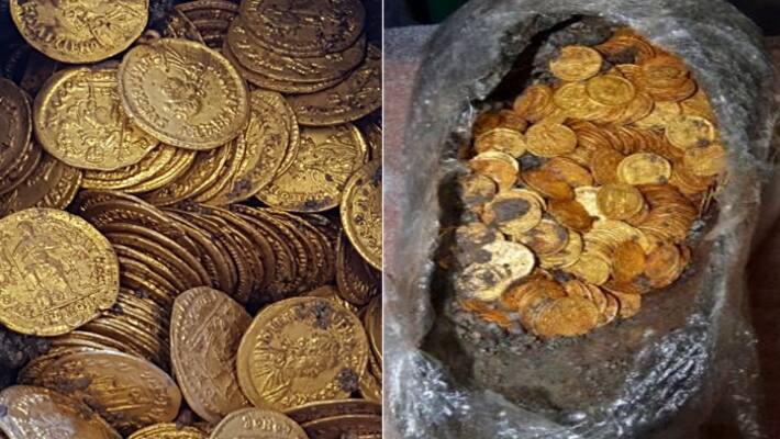 gold coin cheeting gold coin cheeting