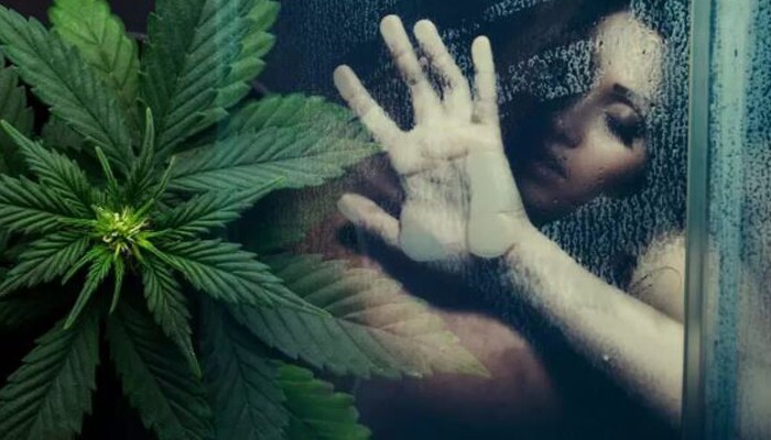 Marijuana use and its effects on your mind and body