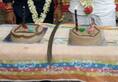 Karnataka: Rowdy celebrates birthday sword cake