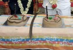 Karnataka: Rowdy celebrates birthday sword cake