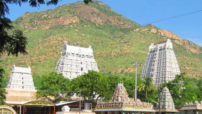 Thiruvannamalai Karthigai Deepam festival...Mountain ban
