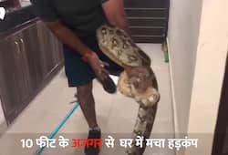 10 feet long python found in the posh area of Gururgram