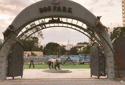 Dog Park Hyderabad Kennel Club