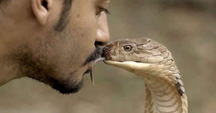 2 younsters loved to get snake bite for their personal enjoyment