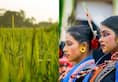 Nuakhai: Odisha celebrated new crop festival on Friday