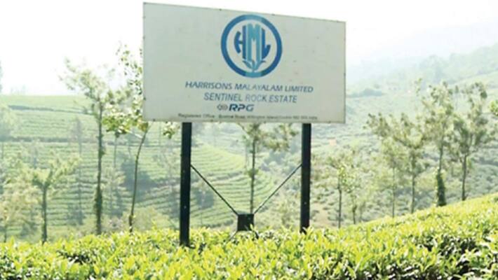 caninet didnt consider harrison malayalam land case caninet didnt consider harrison malayalam land case