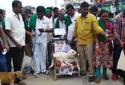 Karnataka dog on chair unique protest Karnataka politics Video