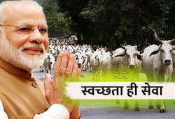 news reports suggest cow deaths due to PM Modi event is baseless
