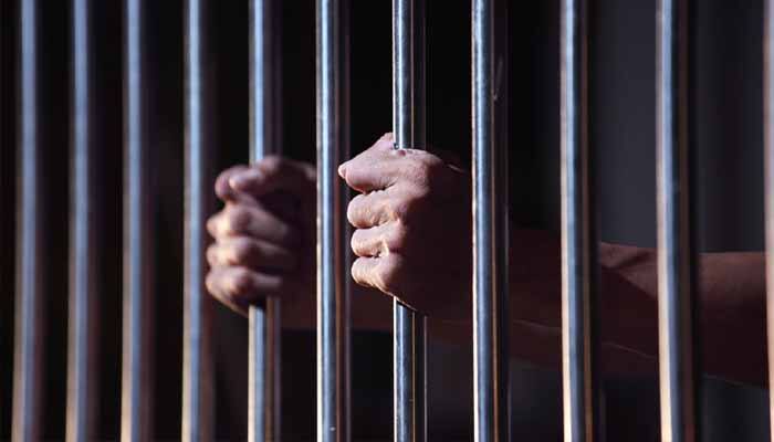 Indian Tamil Nadu techie sentenced 9 years US prison assault flight