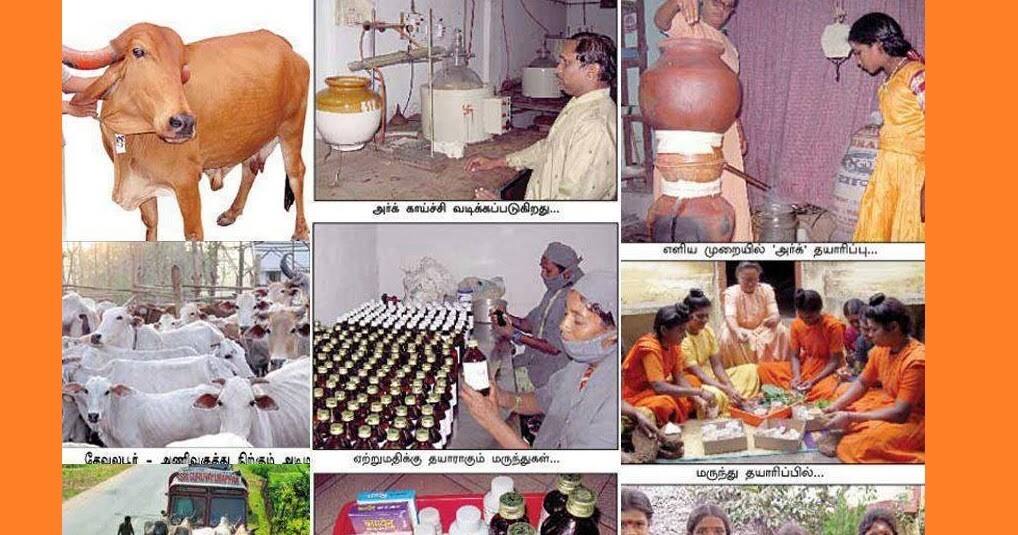 cow urin will be make medicine