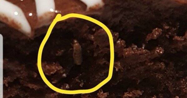 cake is selling with insects and customers got shocked