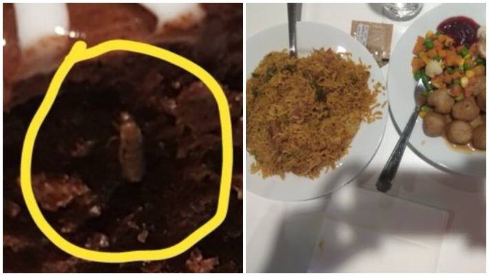 cake is selling with insects and customers got shocked cake is selling with insects and customers got shocked