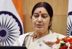 BRICS UNSC reform Sushma Swaraj External Affairs Minister Narendra Modi