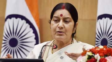 Pakistan Sushma Swaraj sikh sentiments expose Qureshi googly Kartarpur corridor